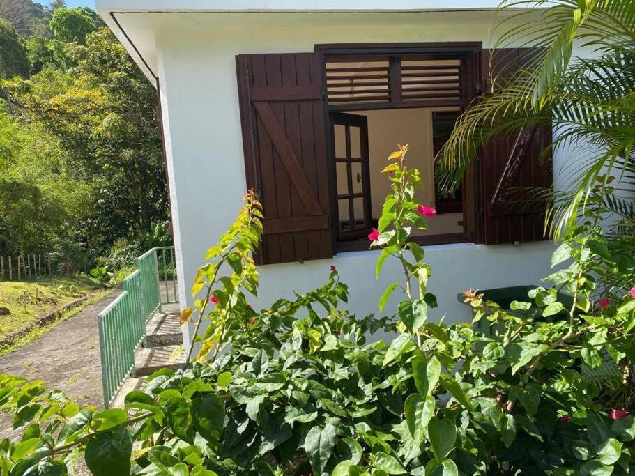 Zayann Zen Apartment Gourbeyre Bagian luar foto